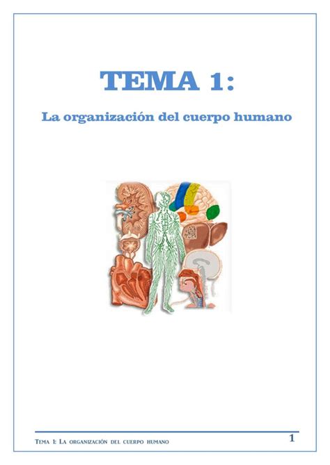 PDF TEMA 1 4 del libro La célula PDF fileCélula animal Célula