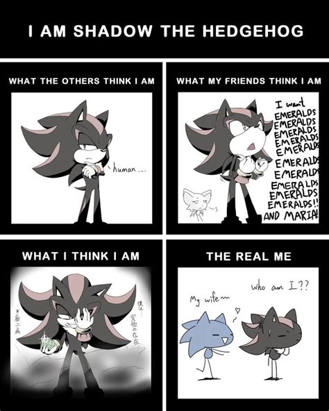 Funny Shadow The Hedgehog Memes