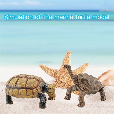 Shebeky Sulcata Tortoise Mold Vivid Clear Texture 3d Effect Sea Ocean