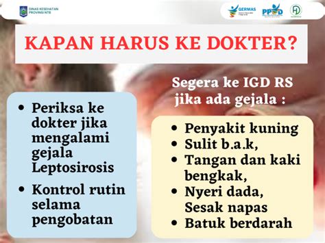 Waspada Leptospirosis Saat Banjir DINAS KESEHATAN PROVINSI NTB