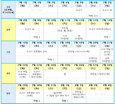 초기이유식 2단계 식단 한국식미국식 병행 6개월아기 수유량 수유텀 간식 이유식양 편한이유식 쉬운이유식 네이버 블로그