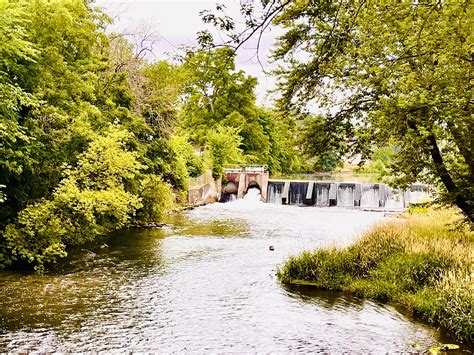 The Dog House Bar & Grill - It's Friday!!! Time for fun and drinks with