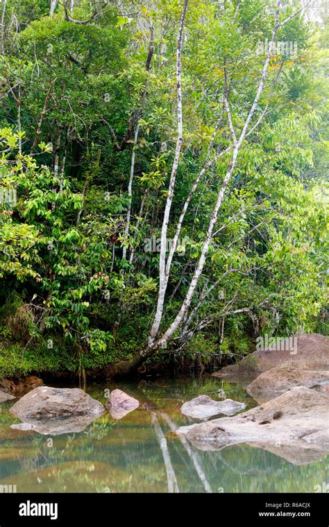 Masoala National Park Landscape Madagascar Stock Photo Alamy