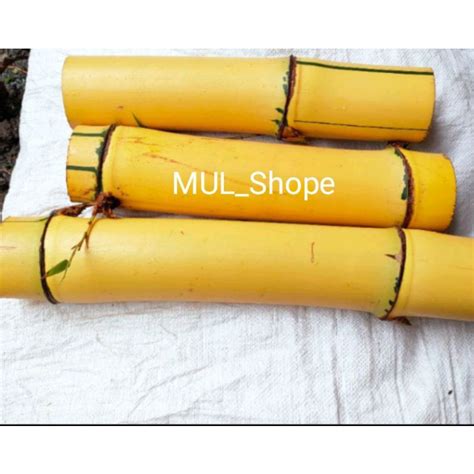 jual bambu kuning  bambu kuning jumbo potongan bambu kuning shopee