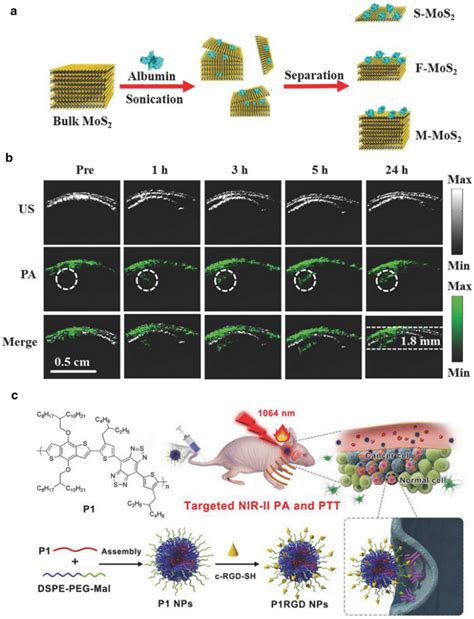 A Schematic Illustration Of The Synthesis Procedure Of Mos2 Nanosheets