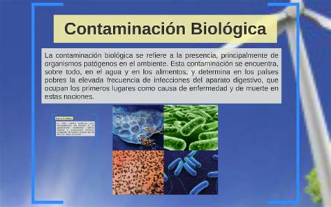 Contaminacion Biologica By Lizbeth Romero On Prezi