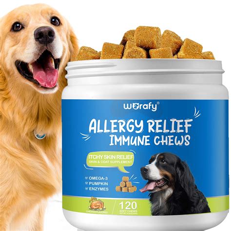 Chicken Allergy In Dogs