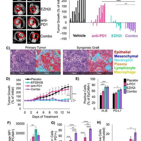 Ezh2 Inhibition Combined With Immunotherapy Is Extremely Effective In