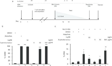 Euphorbia Kansui Reactivates Hiv In A Model Of Hiv Latency Using