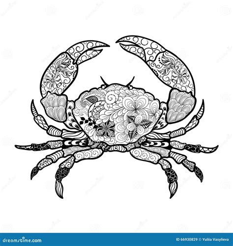 Crab Doodle Stock Vector Illustration Of Doodle Drawing 66930829