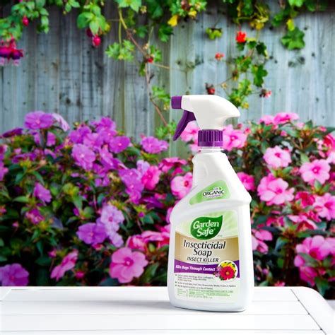 Garden Safe 24 Fl Oz Insecticidal Soap Garden Insect Killer Trigger