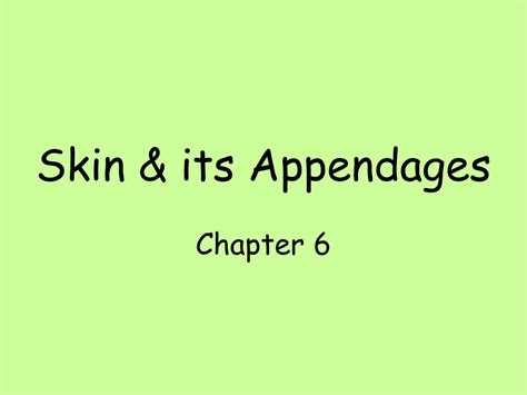 Ppt Skin And Its Appendages Powerpoint Presentation Free Download Id