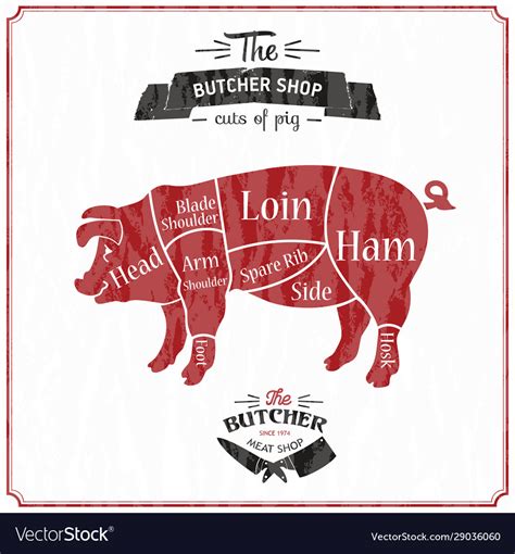 Cut Meat Set Poster Butcher Diagram Scheme Vector Image