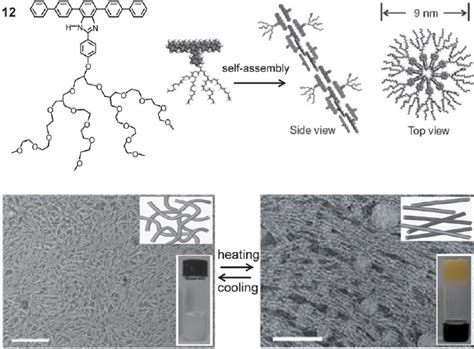 Molecular structure of amphiphile 12 , TEM images and schematic ...