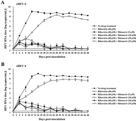 Viruses Free Full Text Ritonavir Blocks Hepatitis E Virus