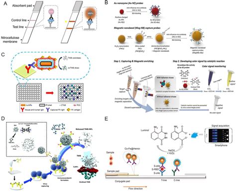 The Nanozymebased Immunoassay For Viral Tests A The Schematic