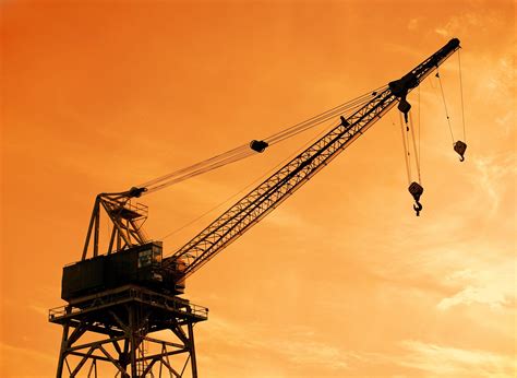 Crane Wallpapers - Wallpaper Cave