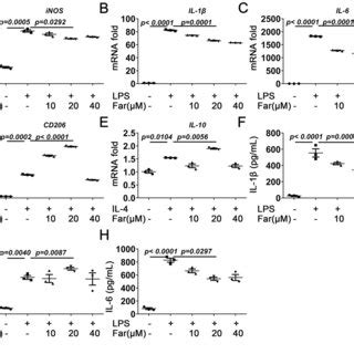 Fargesin Attenuates Cartilage Damage And Synovitis In CIOA A F