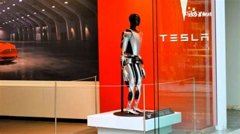 Musk Mass Production Of Humanoid Robots Begins At Tesla Telegraph