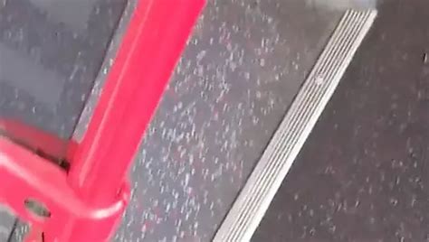 Free MILF Feet Porn Videos XHamster