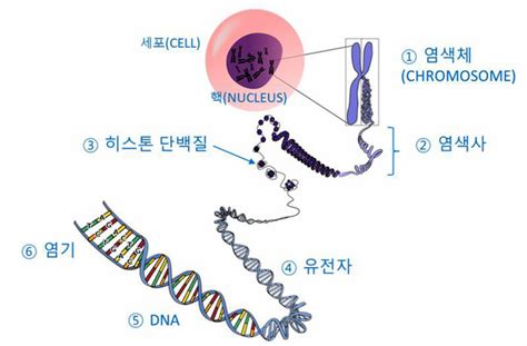 염기서열 분석 이야기