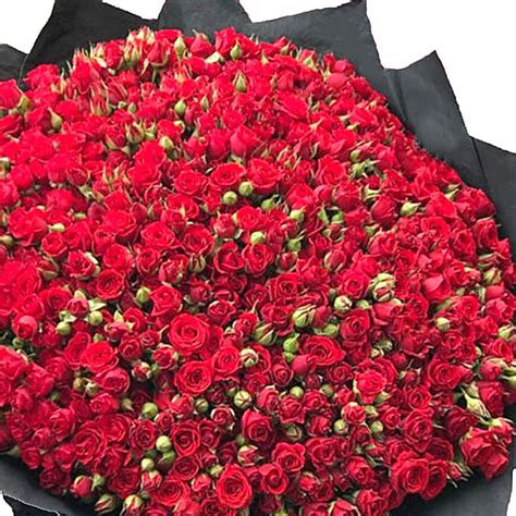 200 Red Spray Roses Bouquet uae | Gift 200 Red Spray Roses Bouquet- FNP