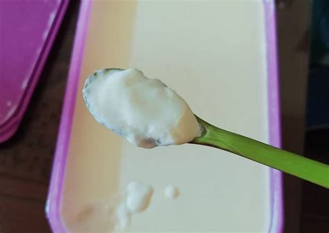 Resep Yoghurt Plain Home Made Oleh Priskila Harum Cookpad