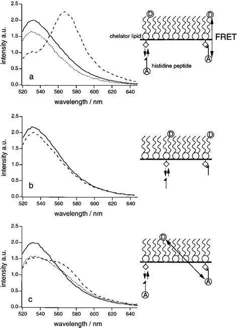 Fluorescence Energy Transfer At The Air Water Interface Fluorescence