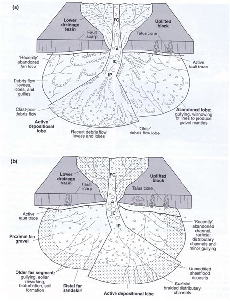 Alluvial Fan Diagram