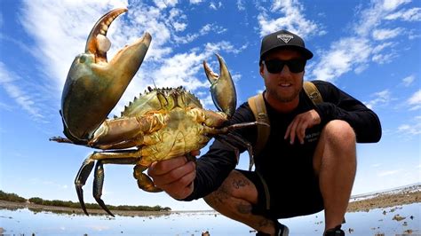 GIANT MUD CRABS CAUGHT BY HAND Catch And Cook On The Fire