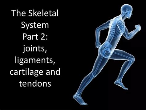 Ppt The Skeletal System Part 2 Joints Ligaments Cartilage And Tendons Powerpoint