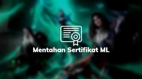 Mentahan Cara Membuat Sertifikat Mobile Legends Ml Turnamen