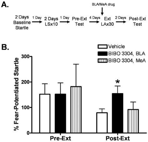 Infusion Of The Npy Y Receptor Antagonist Bibo In The