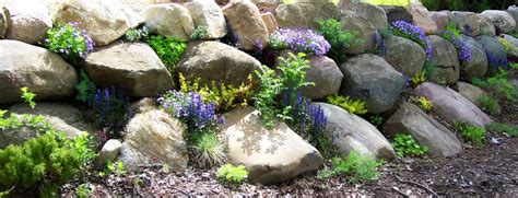 Talking to Plants: Planting a Rock Wall Face