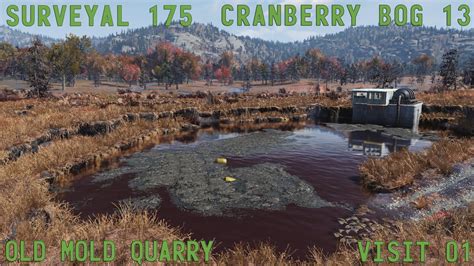 Fallout 76 Surveyal Project 175 Cranberry Bog 13 Old Mold Quarry