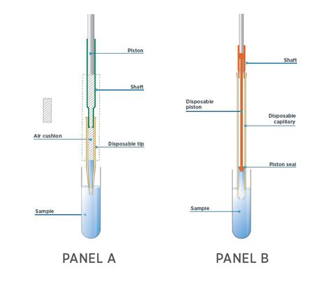 Gilson Article What Tools Are Best For Pipetting Dense Liquids