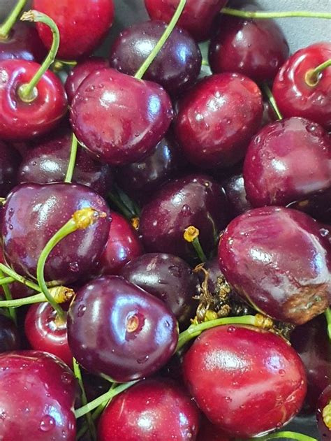 Черешня 🍒 Fruit Food Cherry