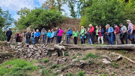 Wanderwoche des Schwäbischen Albvereins Bad Buchau