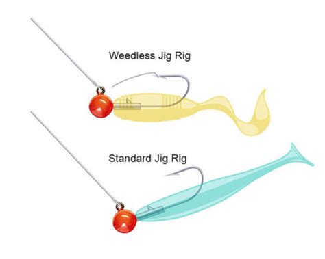 Jig Rigs For Freshwater And Saltwater Fishing