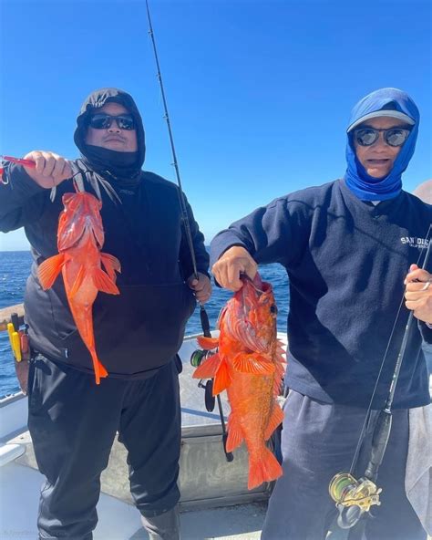 Fish Report Limits Of Rockfish Plus Some Lingcod