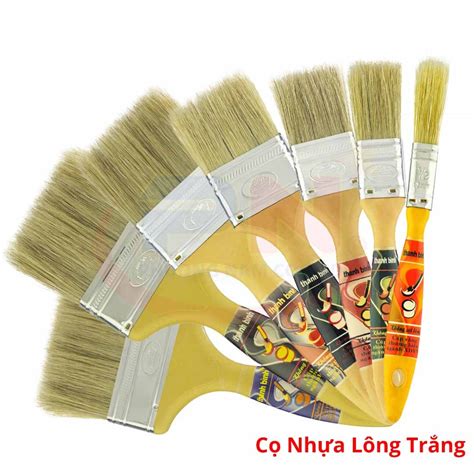 nhua long trang thanh binh