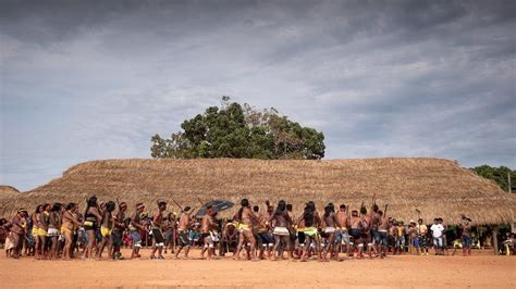 Coronavirus Could Wipe Out Brazil S Indigenous People Bbc News