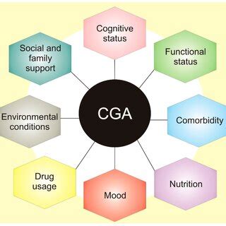 Comprehensive Geriatric Assessment Cga Is An Organized Evaluation