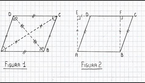 Parallelogramma Descrizione