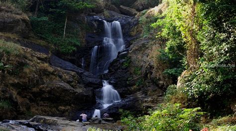 Iruppu Falls Homestays Resorts In Coorg Coffee Estate