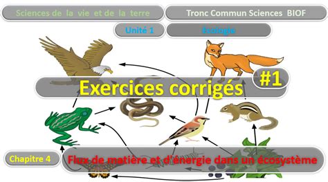 Télécharger Exercices Corrigés Tronc commun Sciences Flux de