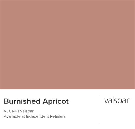 Burnished Apricot From Valspar Valspar Paint Colors Valspar Valspar