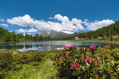 Laghi di S Giuliano e Garzonè Natura Laghi Trentino