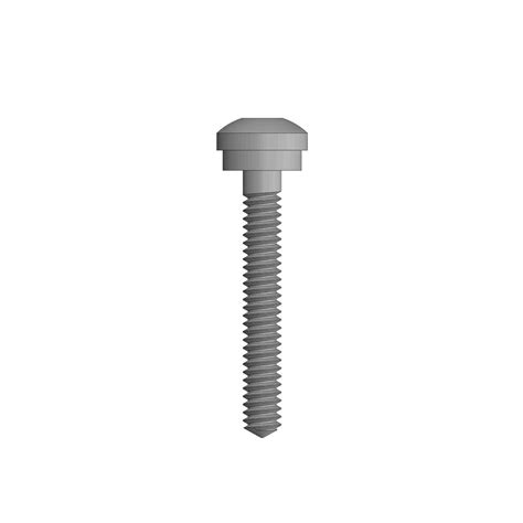 Dhs Dcs Compression Screw Stainless Steel Manufacturer