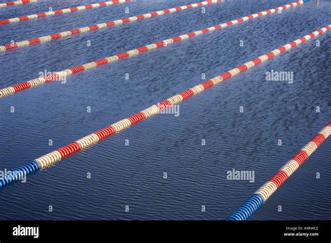 Lanes markers in a swimming pool Stock Photo - Alamy